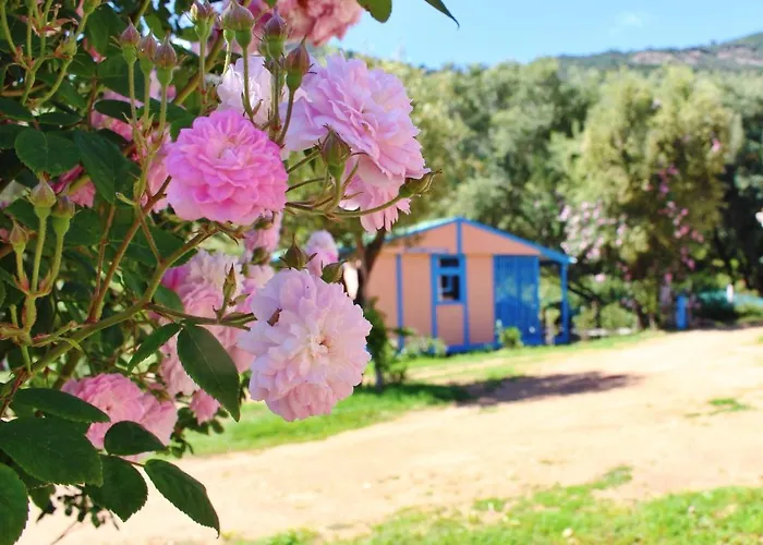 Itylon Ferienhaus Cargèse