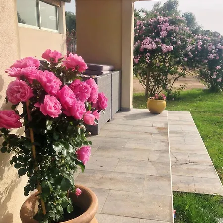 Itylon Cargèse